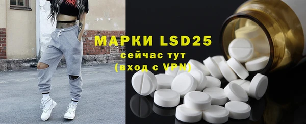 ПСИЛОЦИБИНОВЫЕ ГРИБЫ Балахна