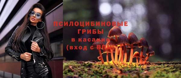 крисы Покров