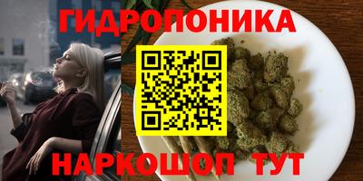 индика Ачхой-Мартан