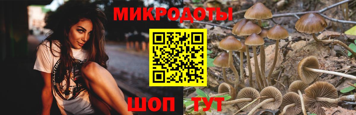 Псилоцибиновые грибы Psilocybe  Вход с VPN  Бор  купить закладку  Псилоцибиновые грибы мицелий 