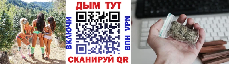 где продают наркотики  Бор  нарко площадка Telegram  Канабис сатива 